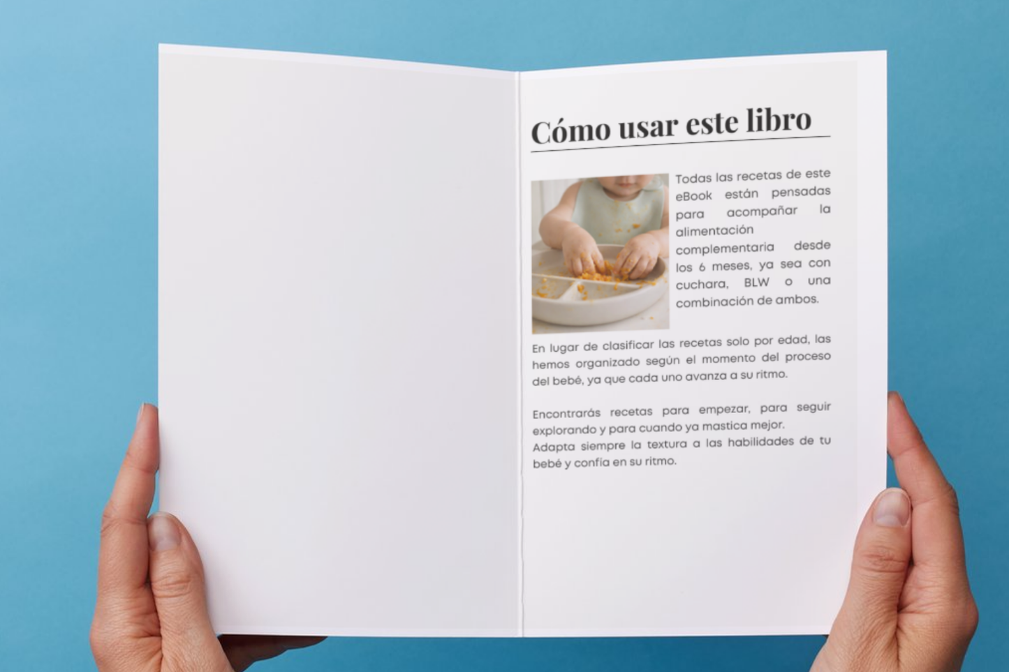 Ebook: 50 Primeras Recetas para Bebés